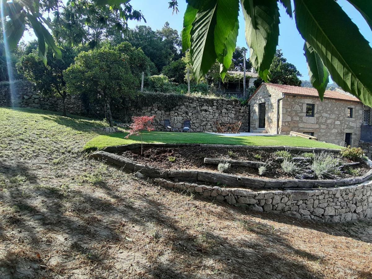 River House Sejaes Oliveira de Frades Exterior photo
