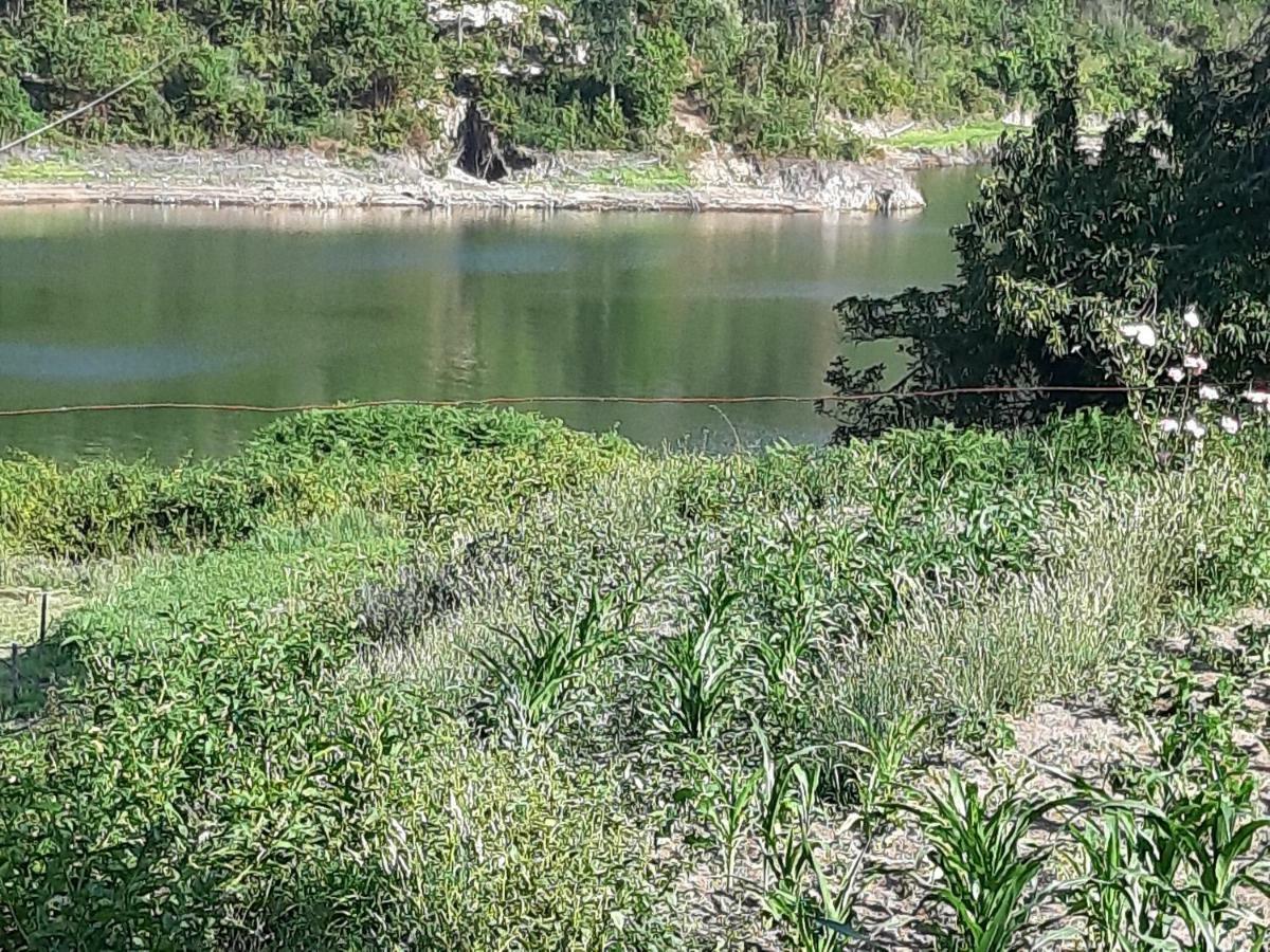 River House Sejaes Oliveira de Frades Exterior photo