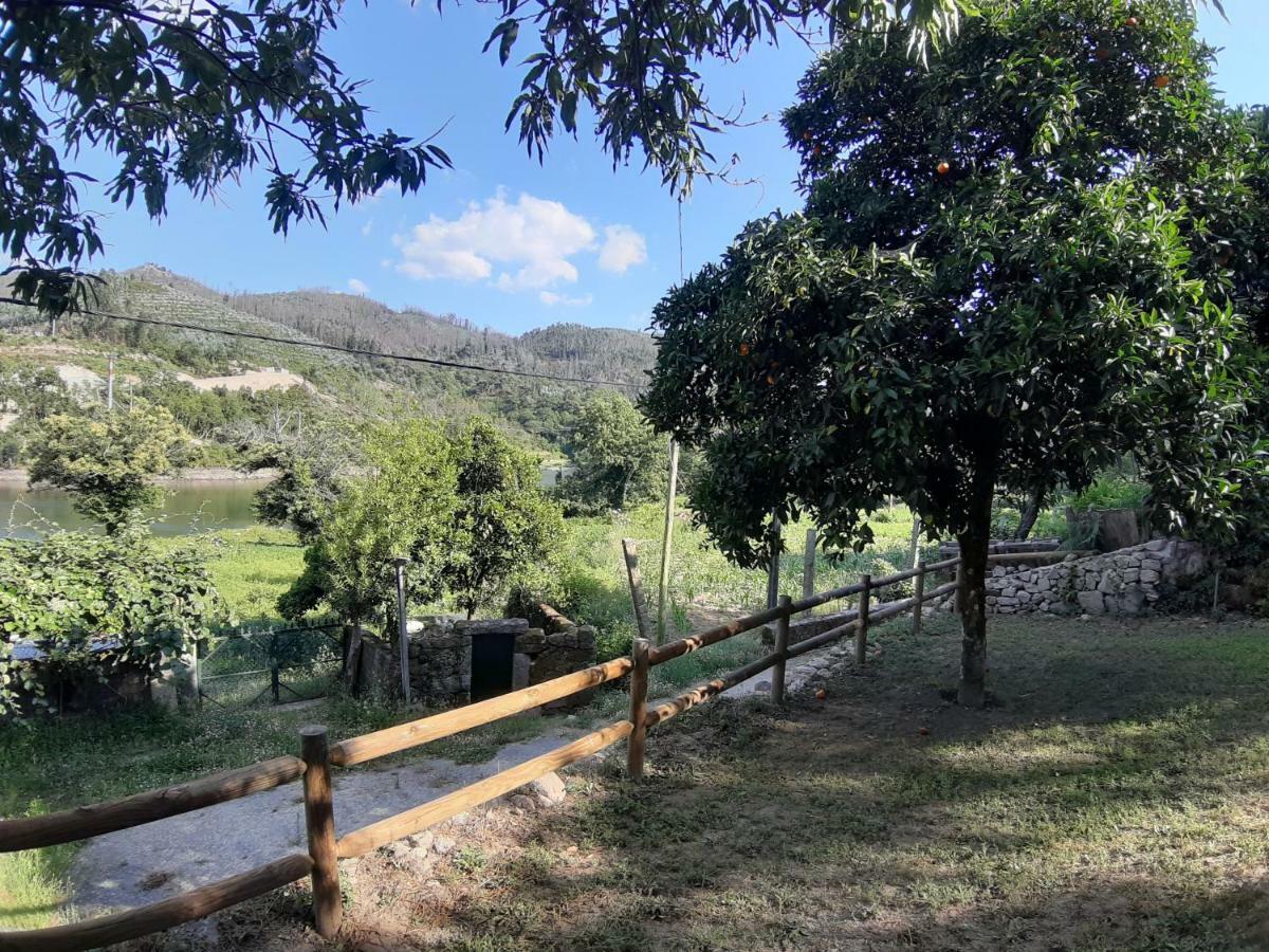 River House Sejaes Oliveira de Frades Exterior photo